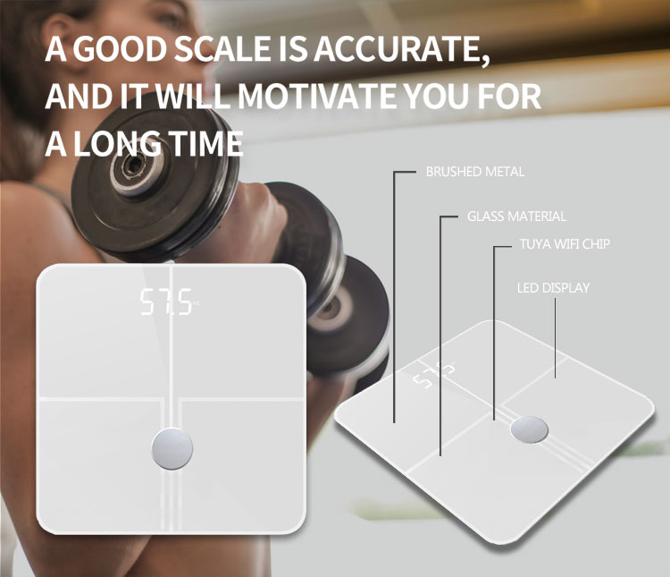 18 Body Composition Analysis scale