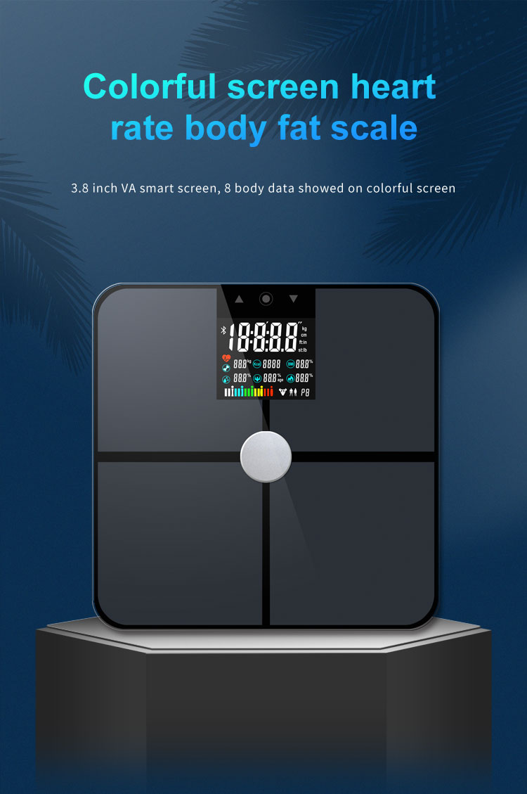 Body Weight Composition BMI Smart Scale