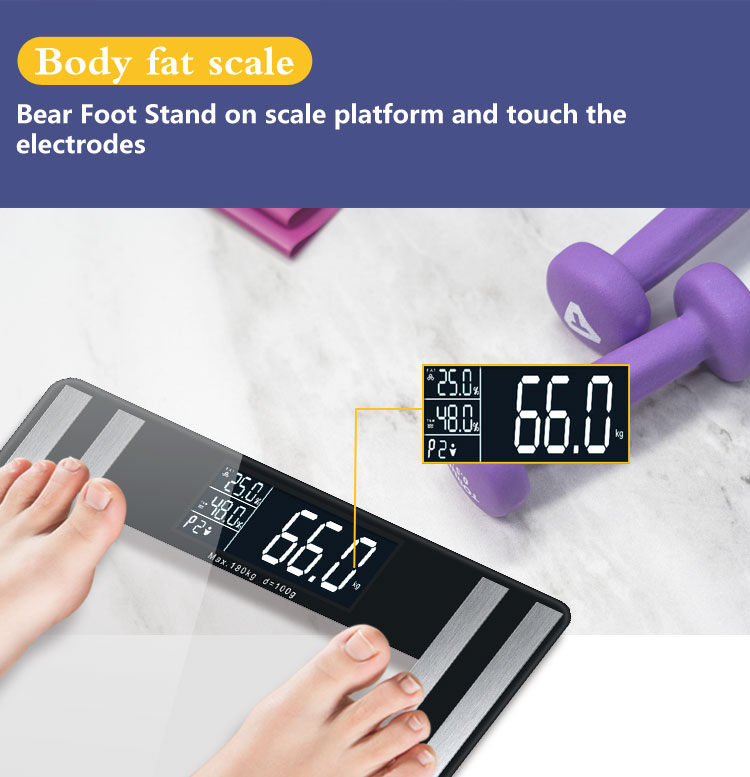 big screen body fat scale 