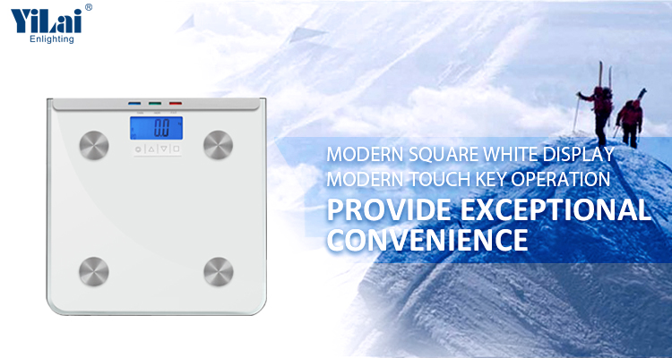 body scale fat percentage analyzer