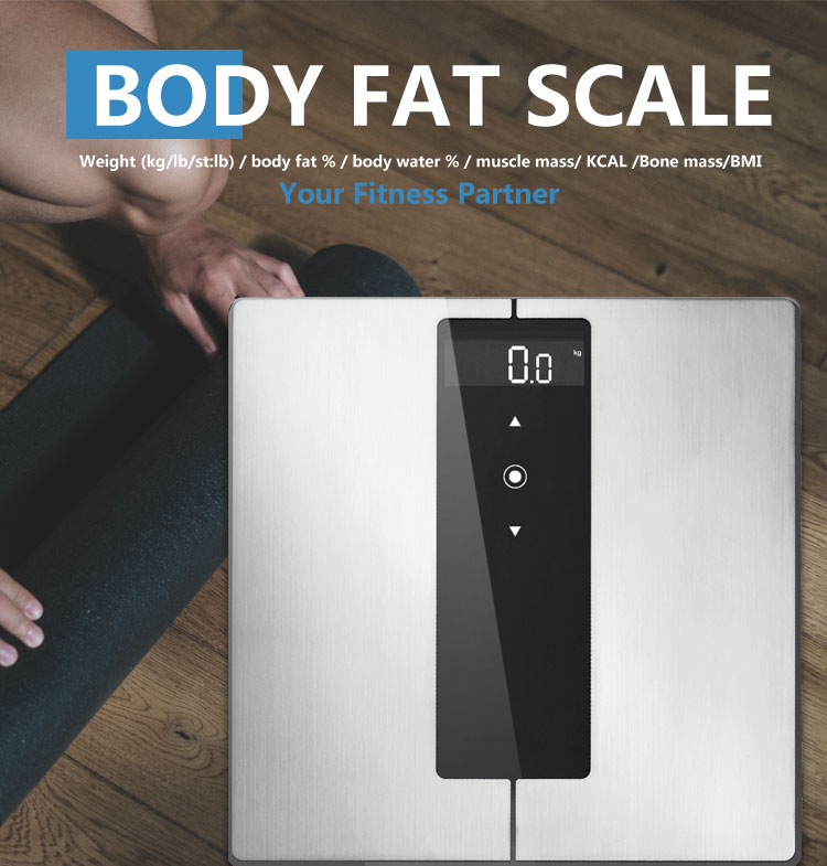 body scale fat and muscles