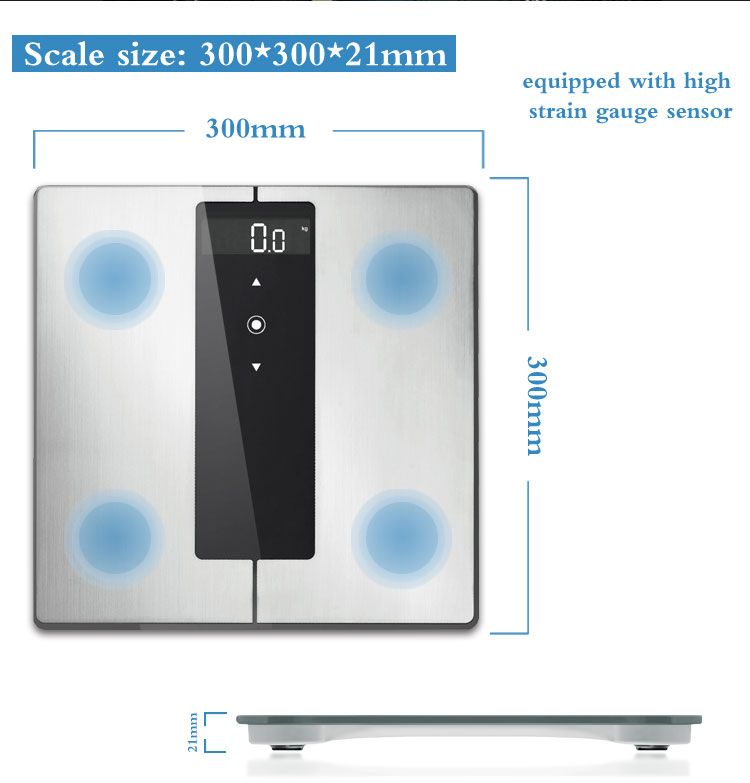 scale for body fat