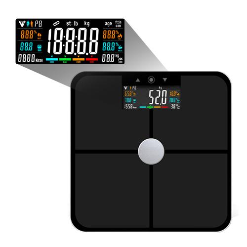 VA Body Fat Scale